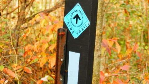 Crawford Lake Conservation Area photo 5