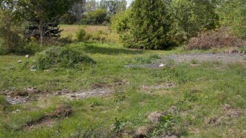 Sept. 2013 - St.-Albert-Trailer-Park34.jpg