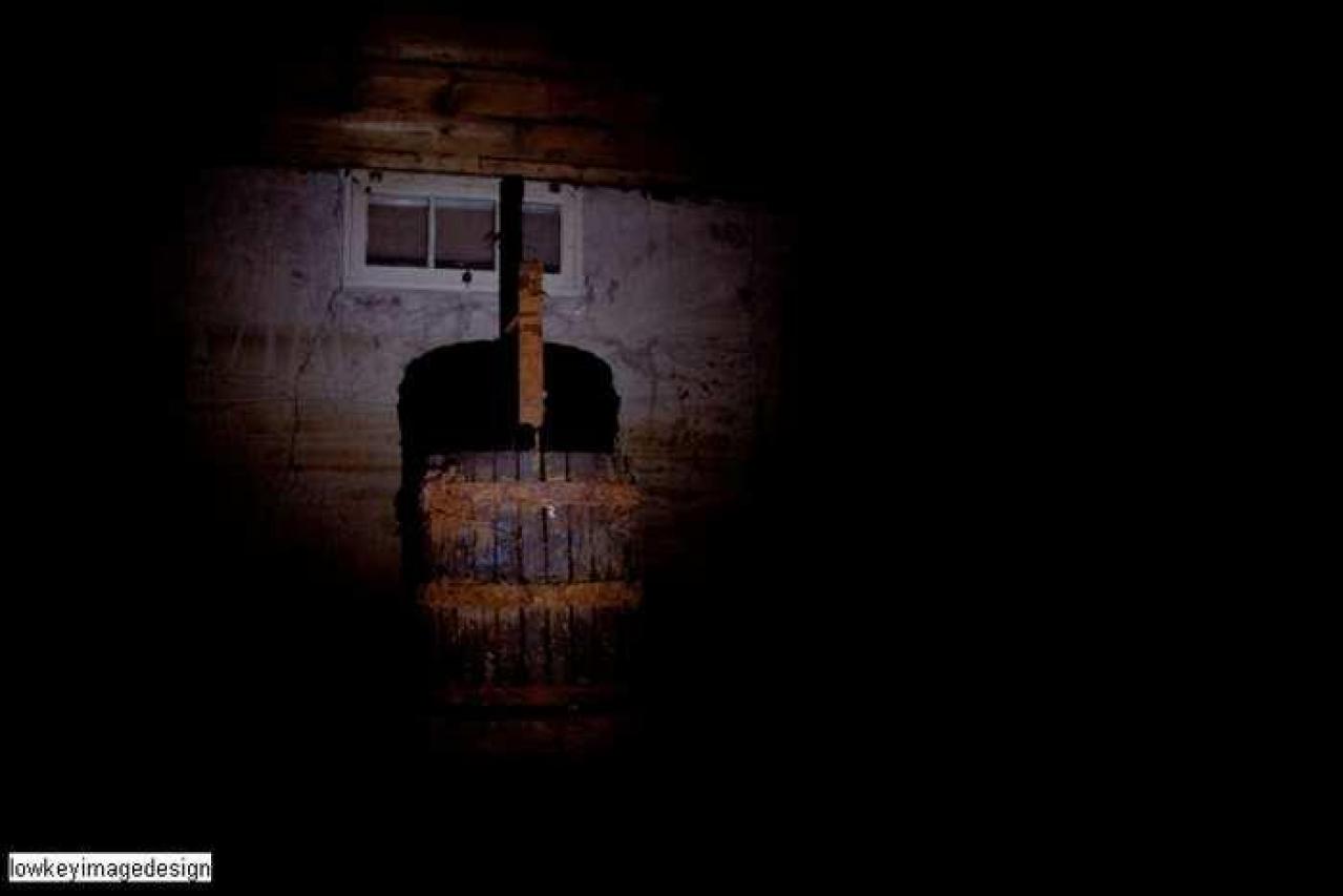 fedora the explora - 3.jpg