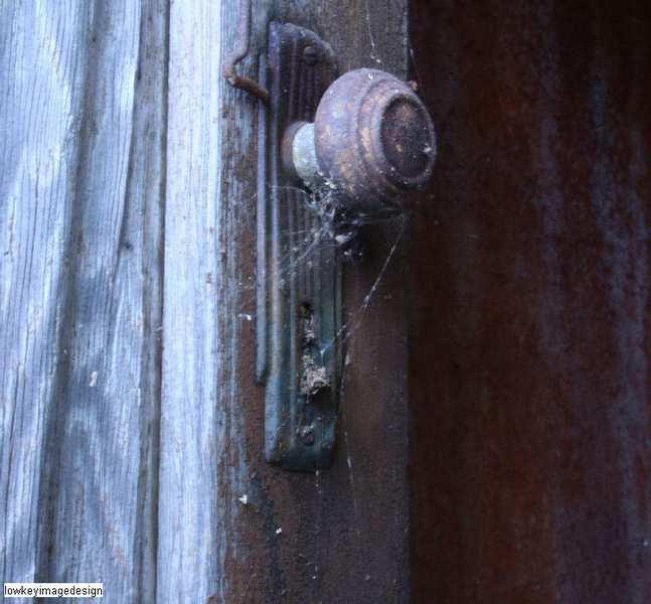 fedora the explora - 4.jpg