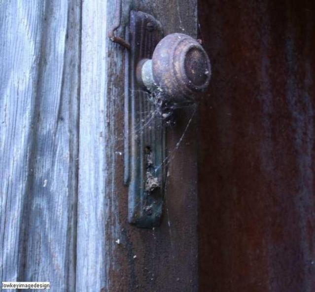 fedora the explora - 4.jpg