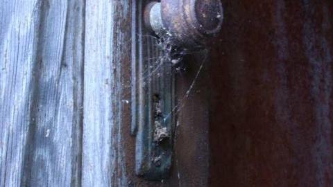 fedora the explora - 4.jpg