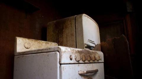 fedora the explora - 6.jpg