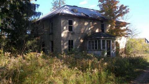 Nice Property - Catherines-Farm122.jpg