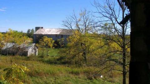 Nice Property - Catherines-Farm89.jpg