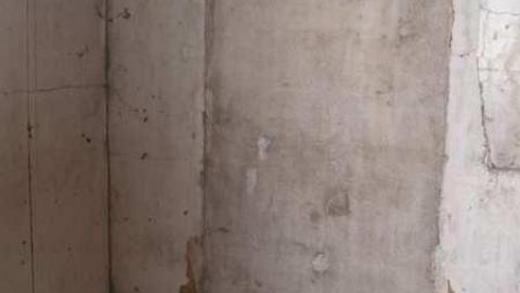 Nice Property - Catherines-Farm52.jpg