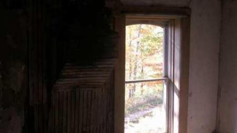 Nice Property - Catherines-Farm90.jpg