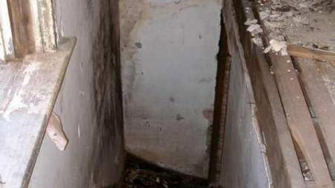 Nice Property - Catherines-Farm53.jpg