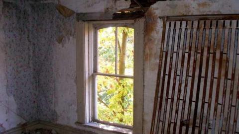 Nice Property - Catherines-Farm91.jpg