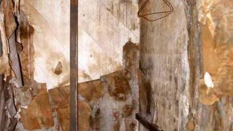 Nice Property - Catherines-Farm54.jpg