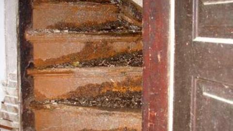 Nice Property - Catherines-Farm124.jpg