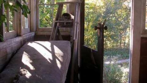 Photo from Nice Property