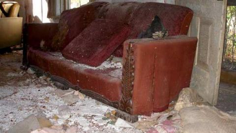 Nice Property - Catherines-Farm92.jpg