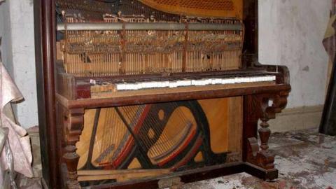 Nice Property - Catherines-Farm59.jpg