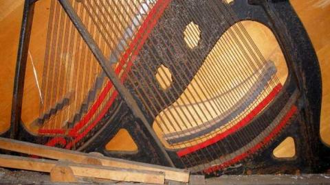 Nice Property - Catherines-Farm69.jpg