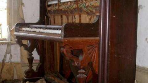 Nice Property - Catherines-Farm84.jpg