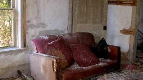 Nice Property - Catherines-Farm94.jpg