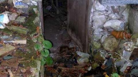 Nice Property - Catherines-Farm95.jpg