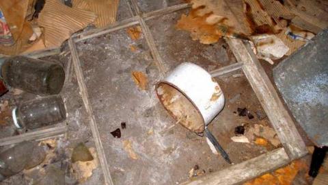 Nice Property - Catherines-Farm86.jpg