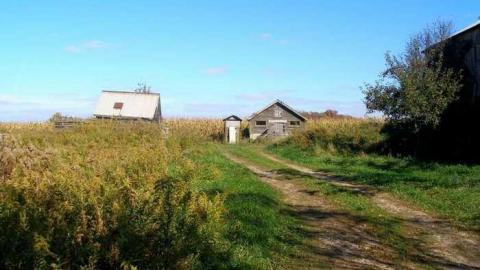 Nice Property - Catherines-Farm72.jpg