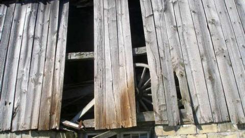 Nice Property - Catherines-Farm87.jpg