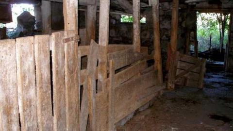 Nice Property - Catherines-Farm127.jpg