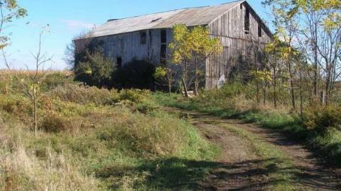 Nice Property - Catherines-Farm88.jpg