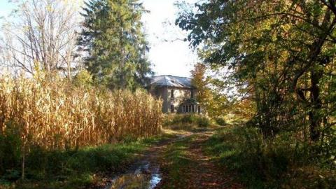 Nice Property - Catherines-Farm128.jpg