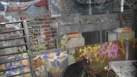 October 17th :-) - Linseed-Factory318.jpg