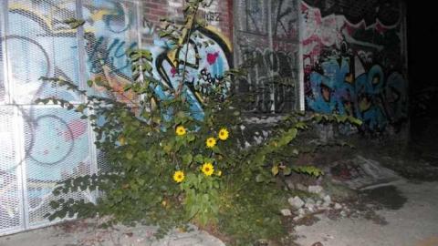 October 17th :-) - Linseed-Factory111.jpg