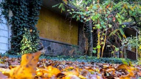 The Main House - ak2.jpg