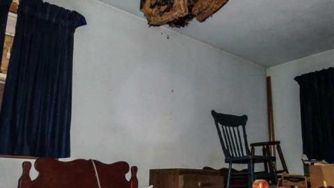 The Main House - 25.jpg