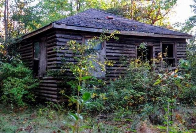 The Decaying Cabins - 36 - IMG_7240-3-2.jpg