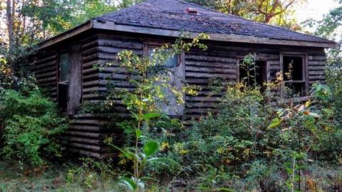 The Decaying Cabins cover photo
