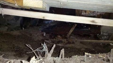 Photo from Petitt Home exploration