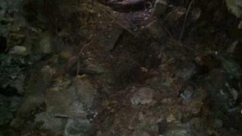 Photo from Petitt Home exploration