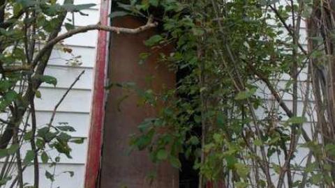 October 18th '13 - SAM_7858.jpg