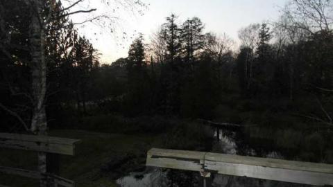 No Service - Green-Hill-Side104.jpg