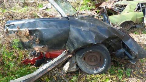 October - SAM_0352.jpg