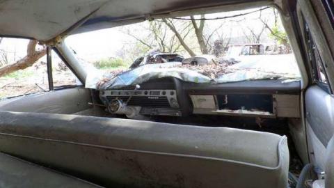 October - SAM_0370.jpg