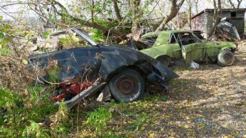 October - SAM_0350.jpg