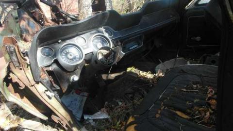 October - SAM_7679.jpg