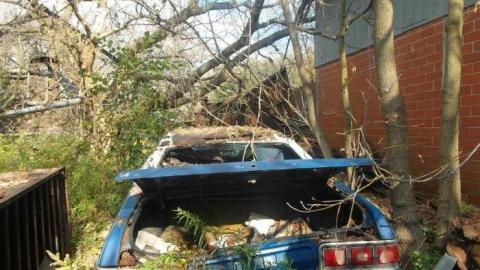 October - SAM_7688.jpg