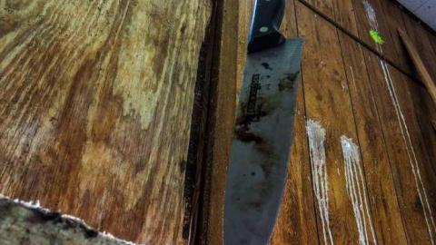 Wishes for Tomorrow - 05 - IMG_6958-3.jpg