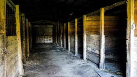 Wishes for Tomorrow - 09 - IMG_6982-3-3.jpg