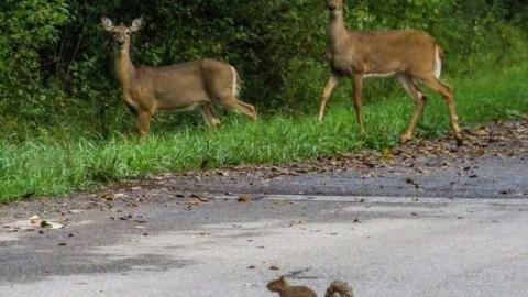 Wishes for Tomorrow - 13 - IMG_6934-3.jpg