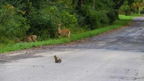 Wishes for Tomorrow - 14 - IMG_6935-3.jpg