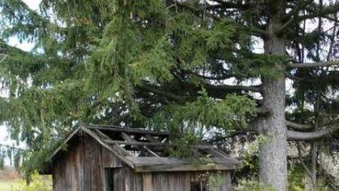 Photo from Only a shed