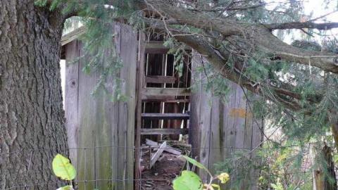 Photo from Only a shed