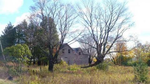 Edge of Edgar - Old-Barrie-Road85.jpg